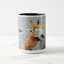 Standing Red Fox