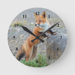 Standing Red Fox Round Clock