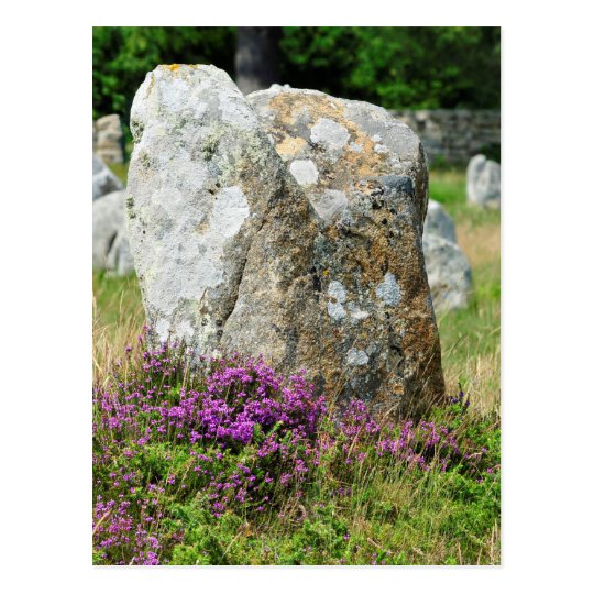 Standing stones at Carnac in France Postcard