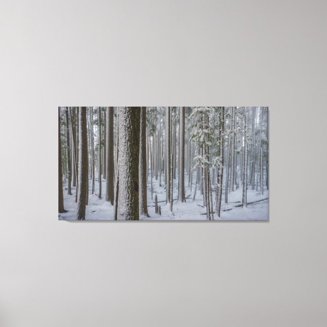 Standing Tall #1 Canvas Print (Front)