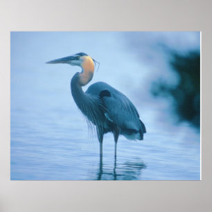 Standing Tall Poster