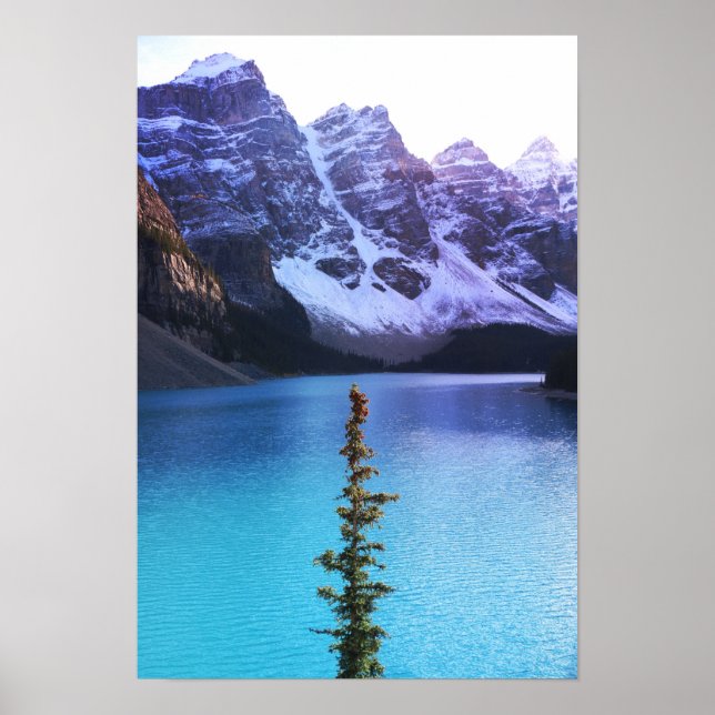 Standing Tall Poster (Front)