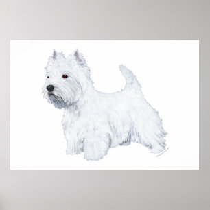 Standing Westie Poster