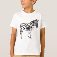Standing Zebra