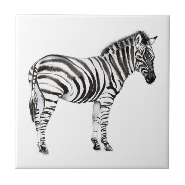 Standing Zebra Tile (Front)