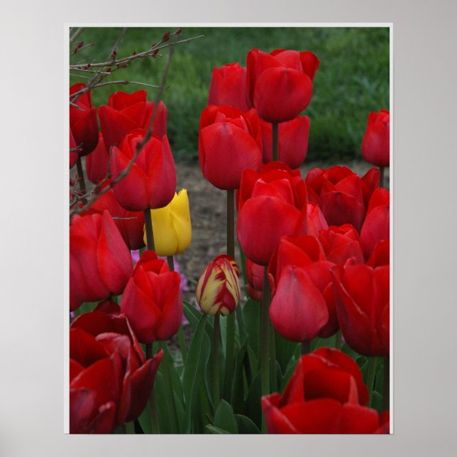 Standout Poster (Front)