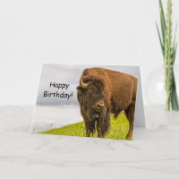 Stands Out From the Herd Birthday Card