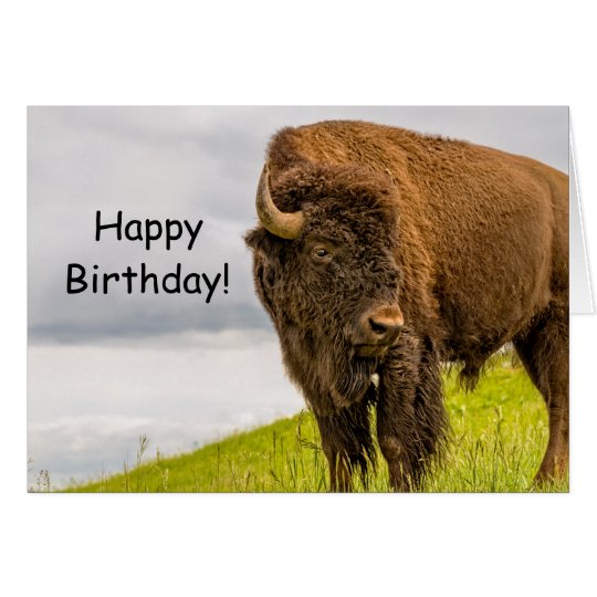 Stands Out From the Herd Birthday Card