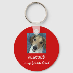 Stanley Arnold Key Chain! Key Ring