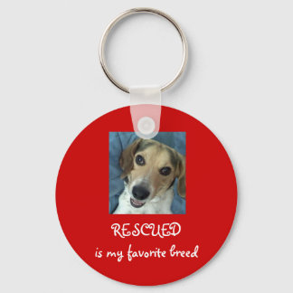 Stanley Arnold Key Chain! Key Ring