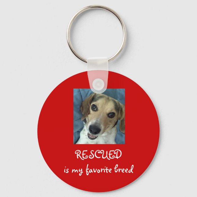 Stanley Arnold Key Chain! Key Ring (Front)