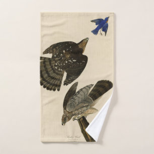 Stanley (Cooper's) Hawk Audubon's Birds of America Bath Towel Set