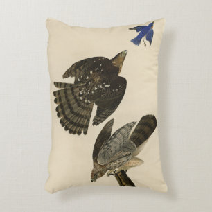 Stanley (Cooper's) Hawk Audubon's Birds of America Decorative Cushion