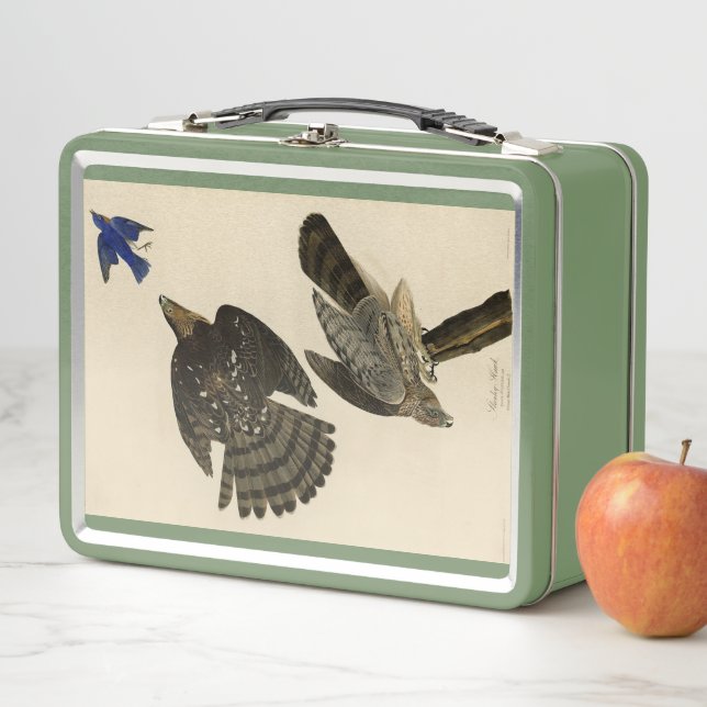 Stanley (Cooper's) Hawk Audubon's Birds of America Metal Lunch Box (In Situ)