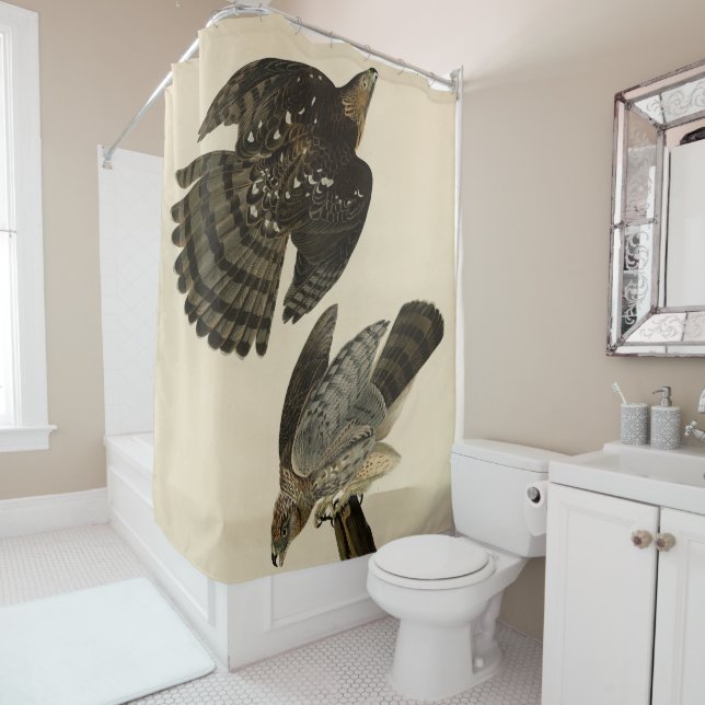 Stanley (Cooper's) Hawk Audubon's Birds of America Shower Curtain (In Situ)