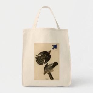 Stanley (Cooper's) Hawk Audubon's Birds of America Tote Bag
