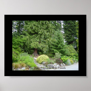 Stanley Park, Vancouver B.C. Poster