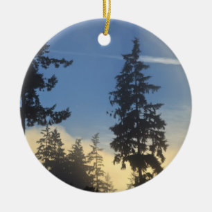 Stanley Park, woods, marine layer fog rolling in Ceramic Tree Decoration
