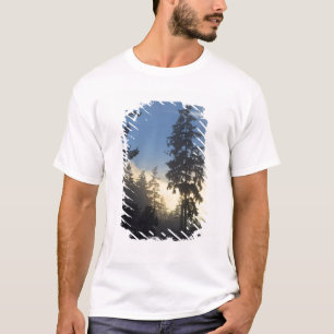 Stanley Park, woods, marine layer fog rolling in T-Shirt
