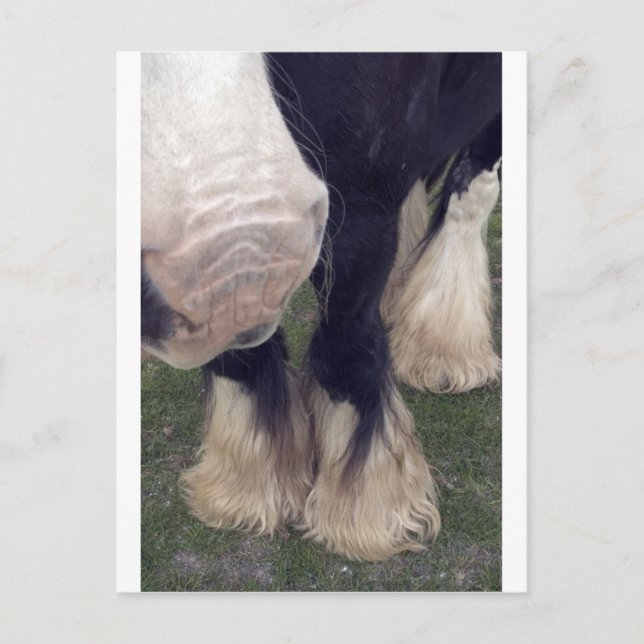 Stanley Postcard (Front)