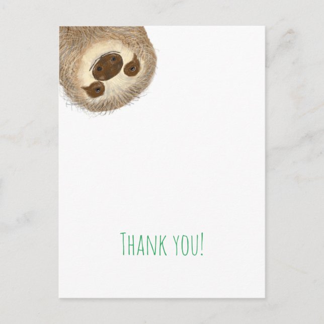 Stanley sloth thank you postcard (Front)