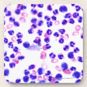 Staph Infection Coaster