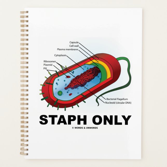 Staph Only Bacterium Diagram Prokaryote Bacteria Planner (Front)