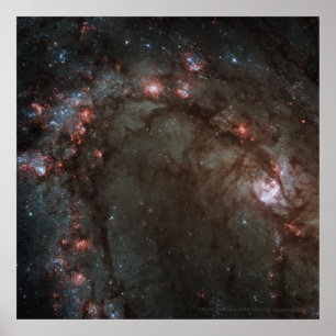 Star Birth in Galaxy M83 Detail 12x12 (13x13) Poster