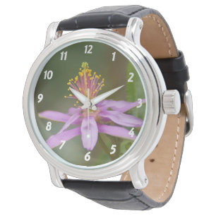 Star Burst Watch