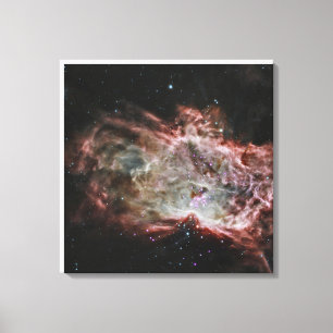 Star Clusters In The Centre Of The Flame Nebula. Canvas Print