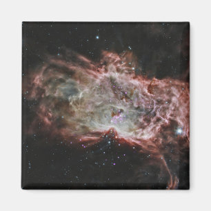 Star Clusters In The Centre Of The Flame Nebula. Magnet