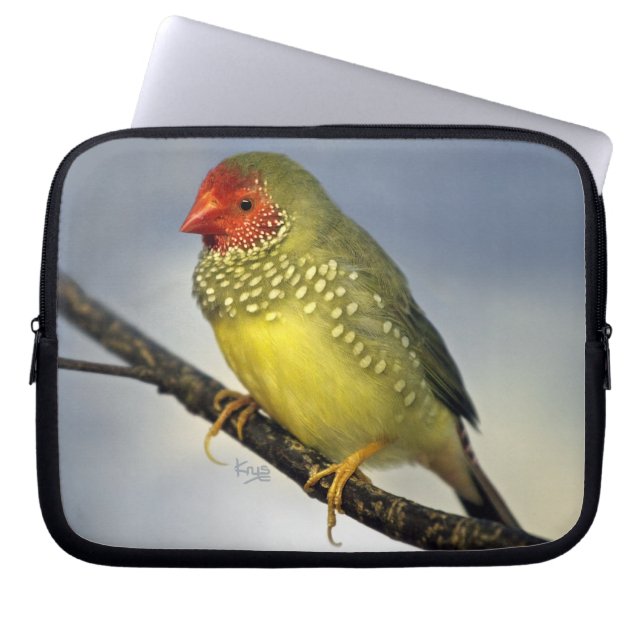 Star Finch Laptop Sleeve (Front)