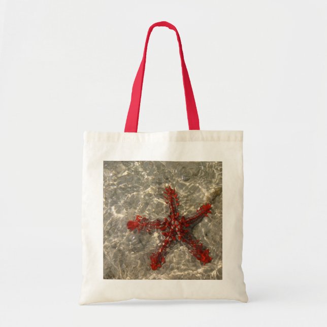 Star Fish Bag (Front)