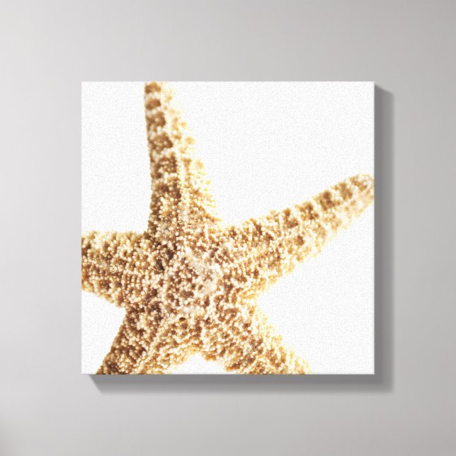 Star fish canvas print (Front)