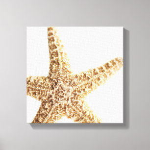 Star fish canvas print