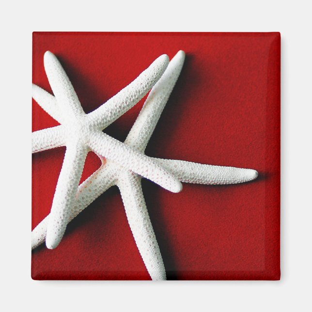 Star fish Magnet (Front)