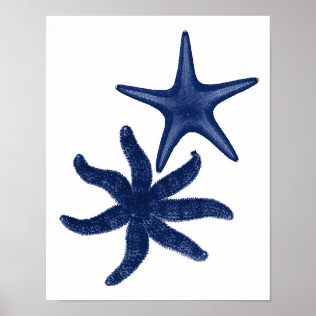 Star Fish Navy Beach Decor (Front)
