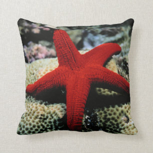 Star Fish Red Sea Cushion