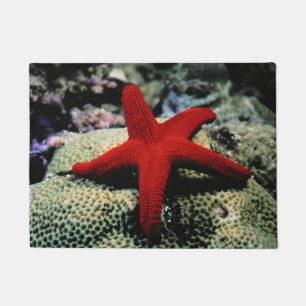 Star Fish   Red Sea Doormat