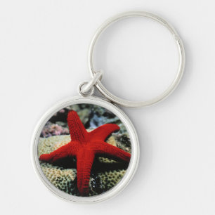 Star Fish   Red Sea Key Ring