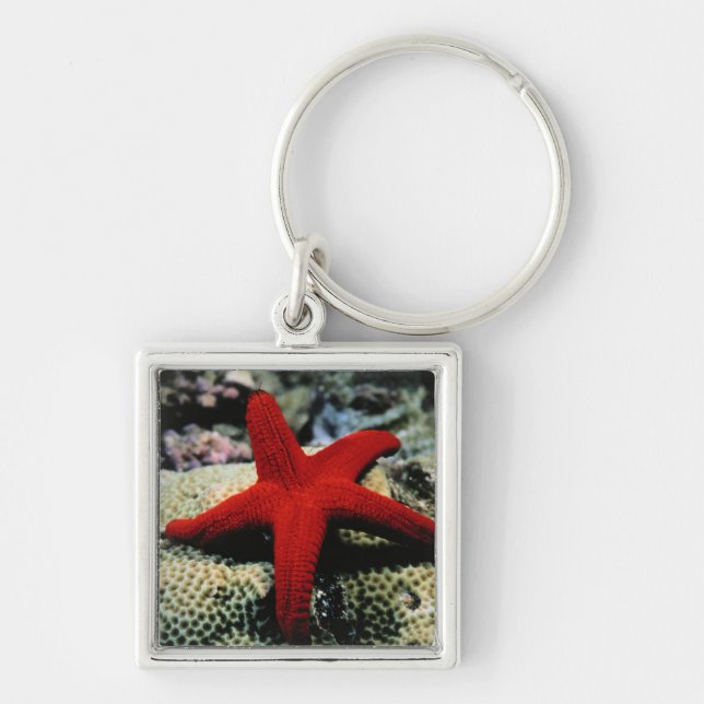 Star Fish | Red Sea Key Ring (Front)