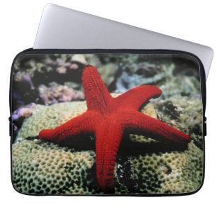 Star Fish   Red Sea Laptop Sleeve