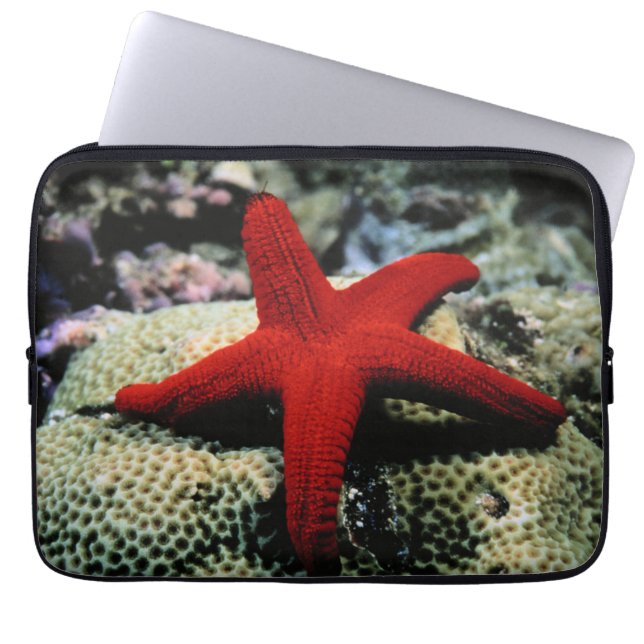 Star Fish | Red Sea Laptop Sleeve (Front)
