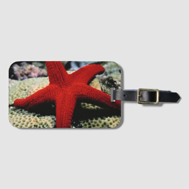 Star Fish | Red Sea Luggage Tag (Front Horizontal)