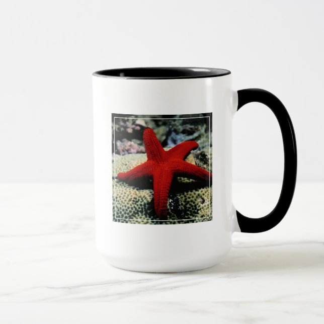 Star Fish | Red Sea Mug (Right)