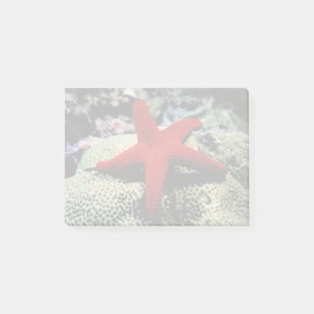 Star Fish | Red Sea Post-it Notes (Front)