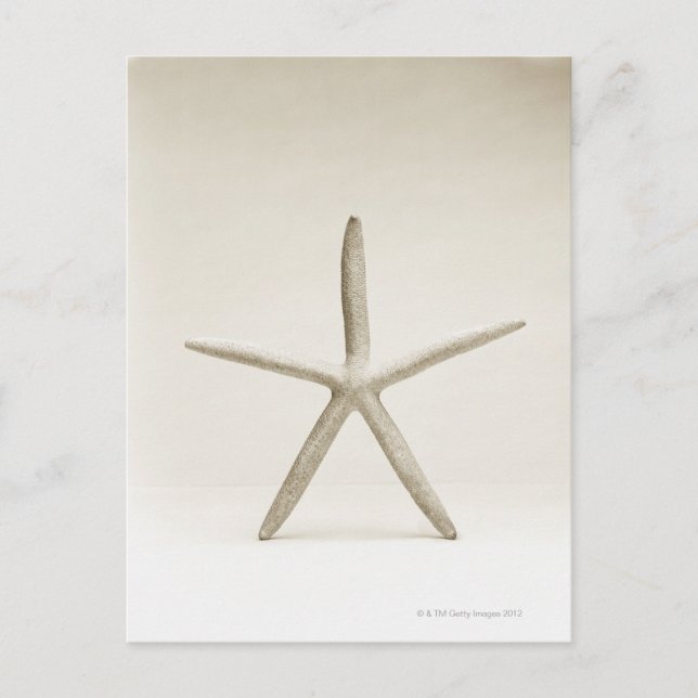 Star fish shell postcard (Front)