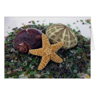 Star Fish, Shell & Urchin Card