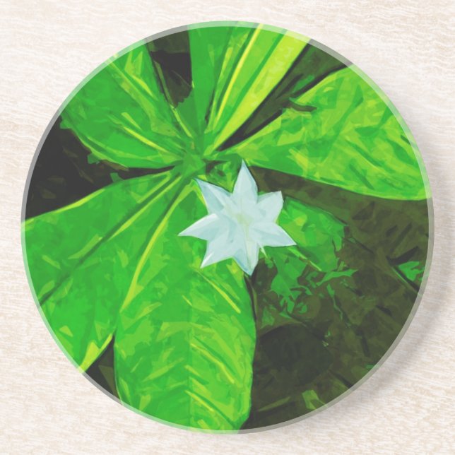 Star Flower a White Wildflower Abstract Coaster (Front)