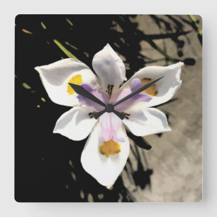 Star Flower Square Wall Clock